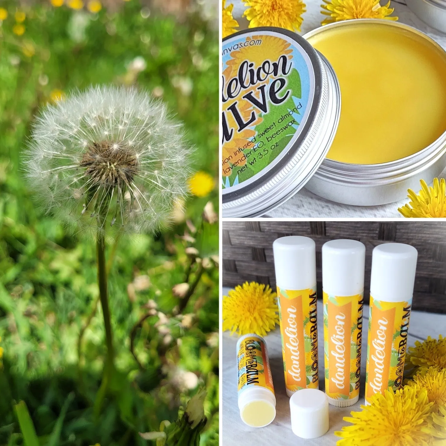 Dandelion MINI DUO: 2 oz Salve & Lip Balm {in a bag}