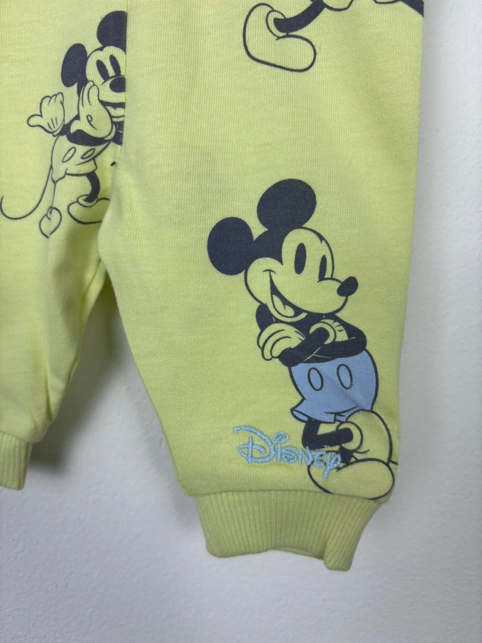 Disney Newborn