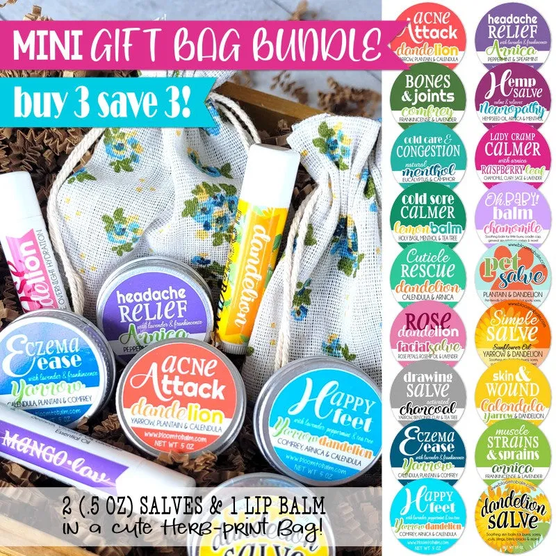 MINI GIFT BAG BUNDLE: 2 Salves (.5 oz) & 1 Lip Balm