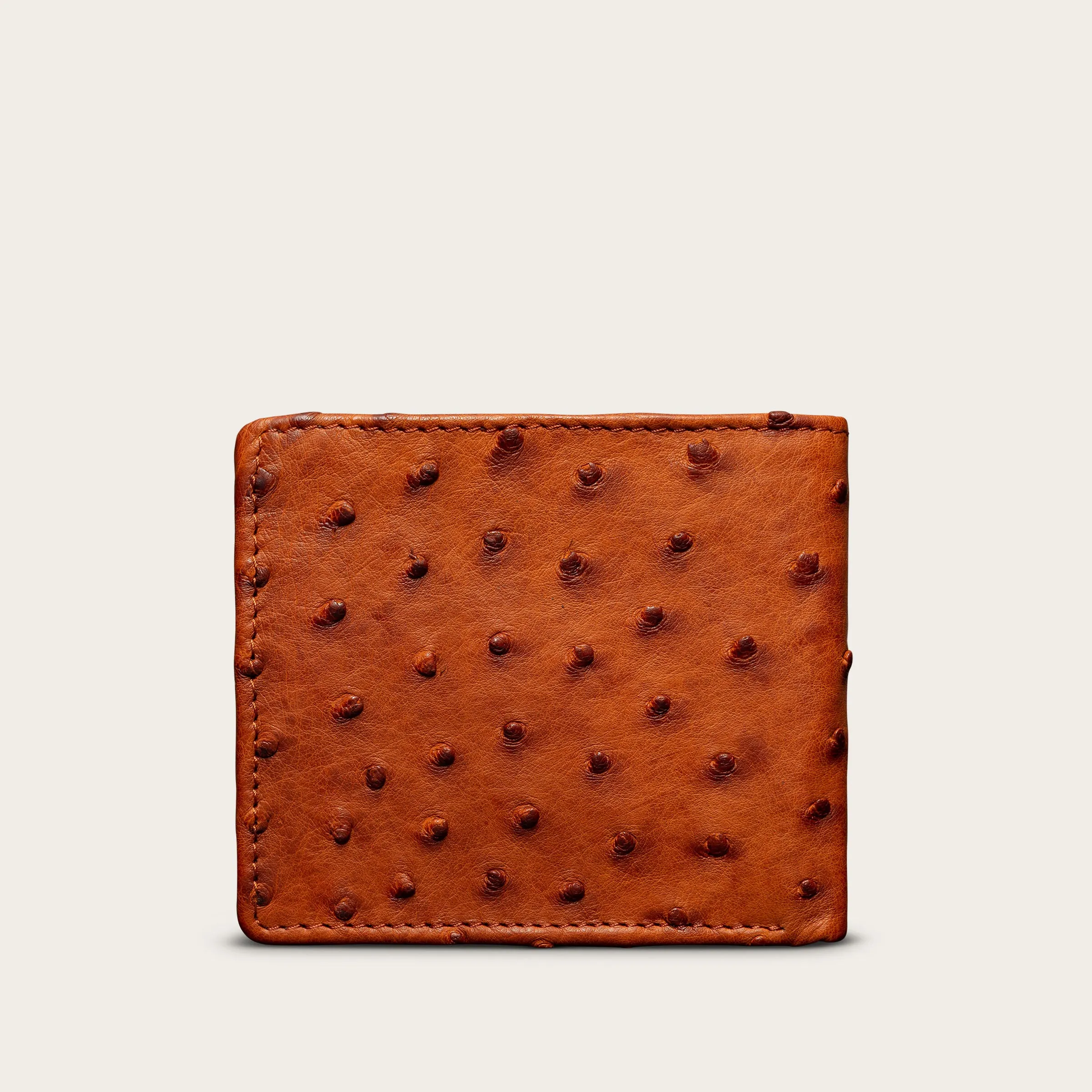 Ostrich Billfold